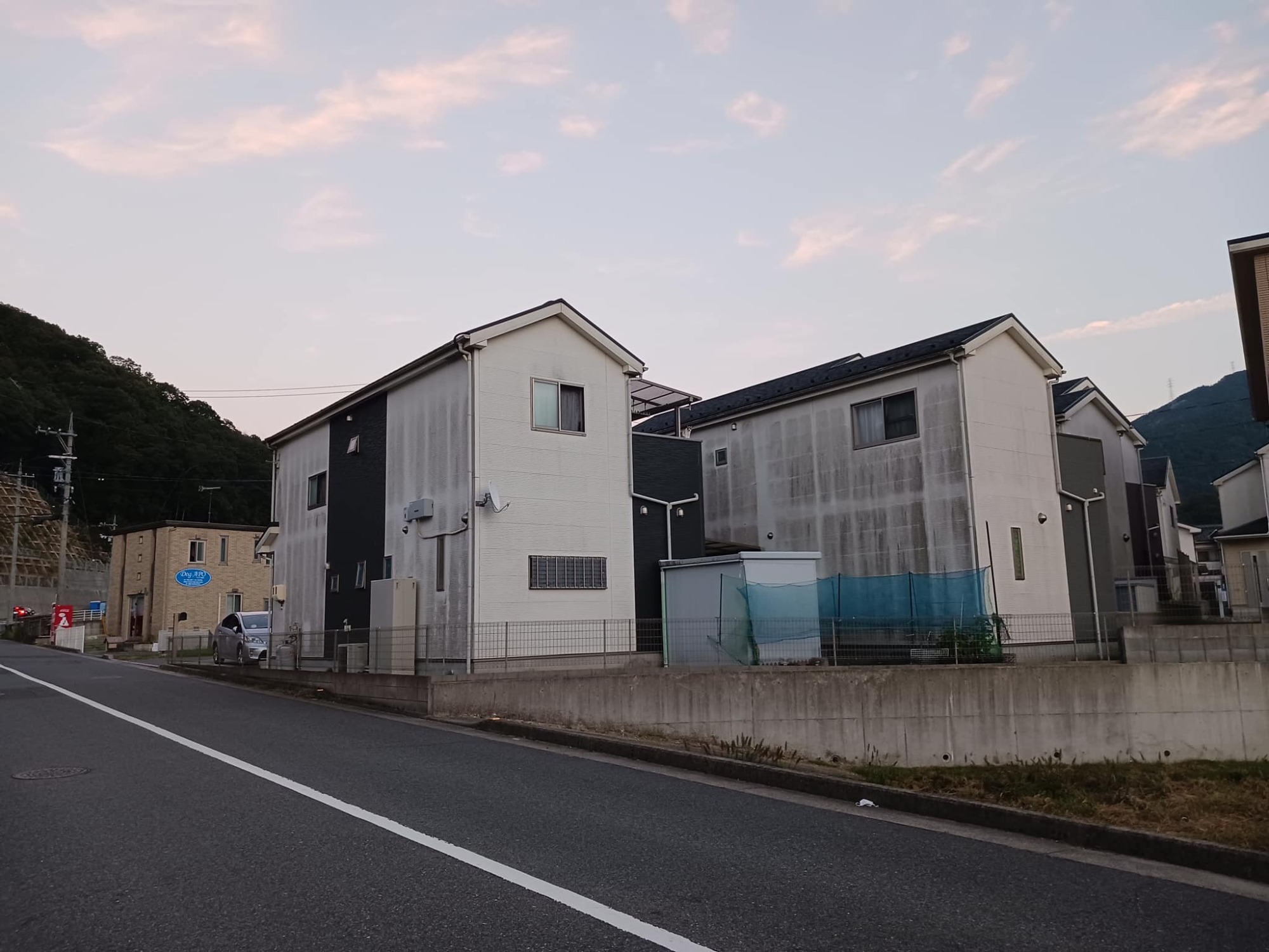 北面外壁の苔問題